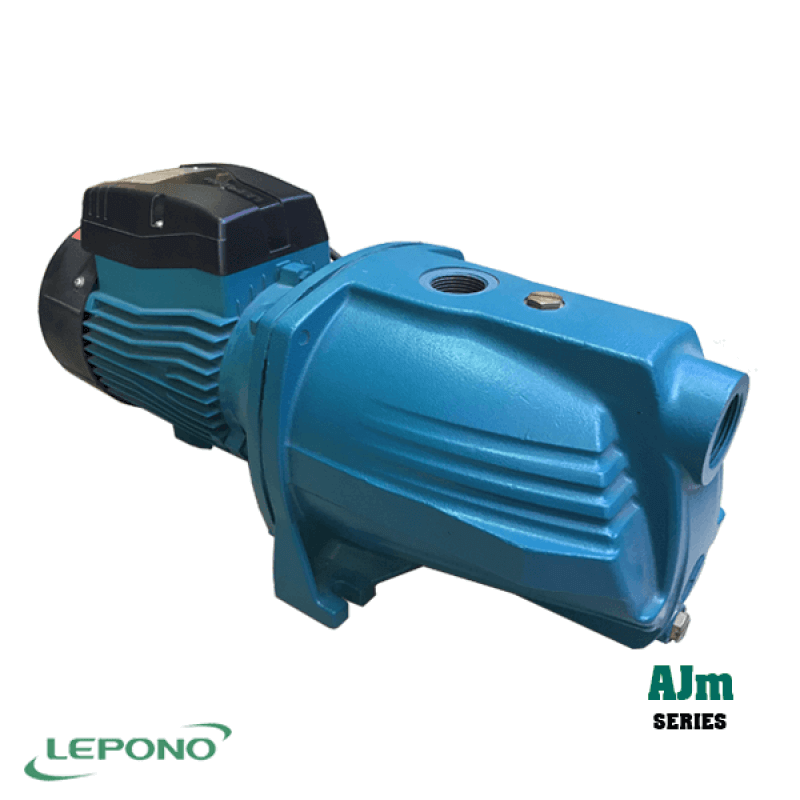 máy bơm nước Lepono AJM 30